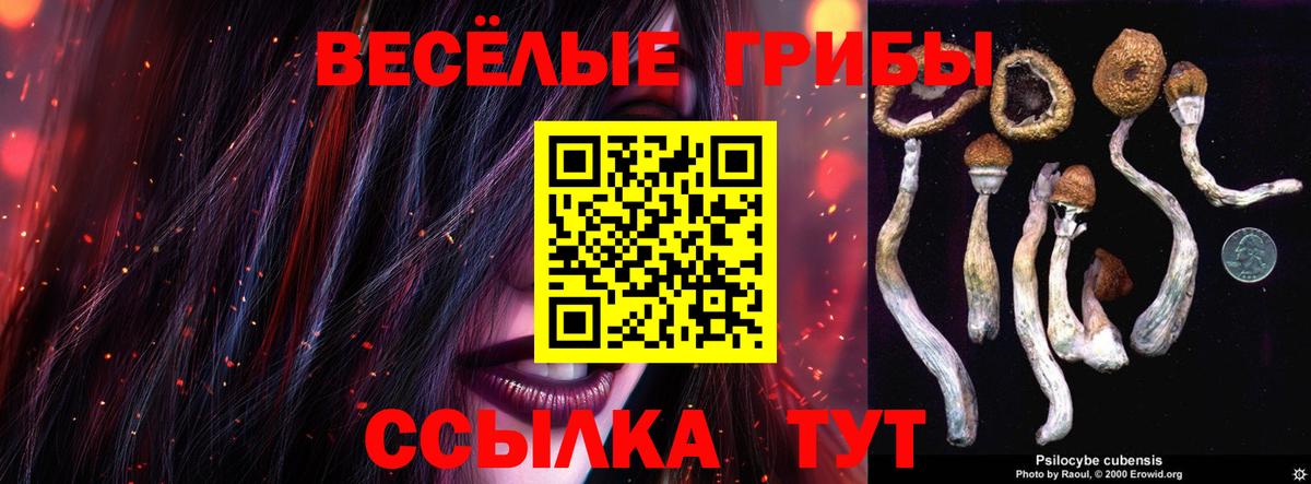 Благовещенск  Псилоцибиновые грибы Cubensis  Вход с VPN 